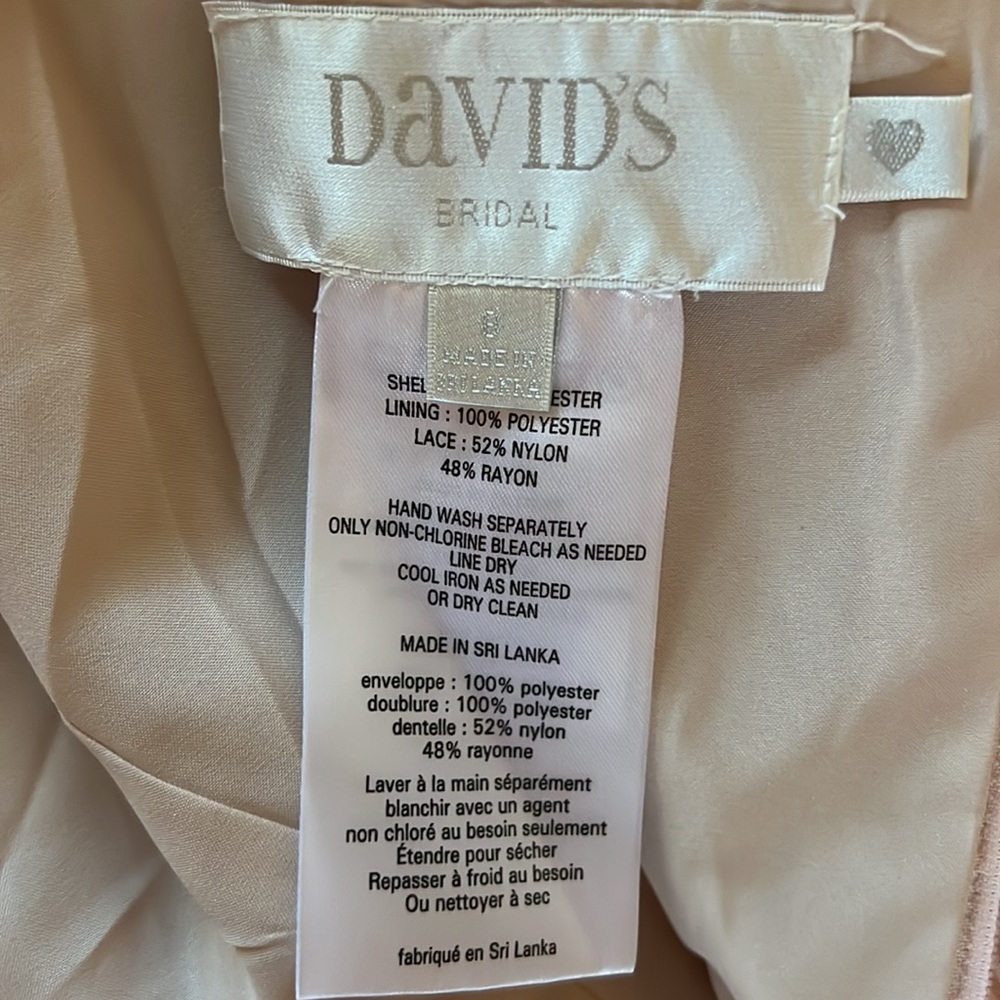 David’s Bridal Lace Mesh V Neck Bridesmaid Dress | petal | size 8 - Picture 4 of 5